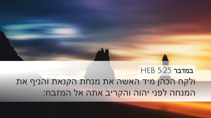 במדבר 5:25 HEB Bible Verse Image