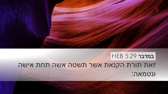 במדבר 5:29 HEB Bible Verse Image
