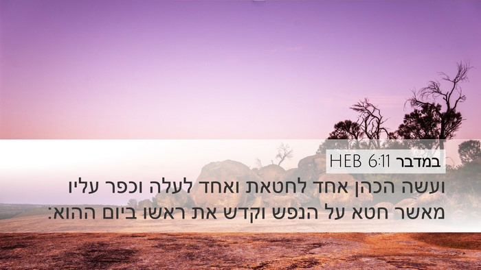 במדבר 6:11 HEB Desktop Wallpaper - ועשה הכהן אחד לחטאת ואחד - Desktop Bible Verse Wallpaper