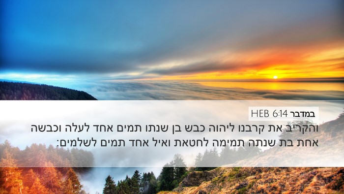 במדבר 6:14 HEB Desktop Wallpaper - והקריב את קרבנו ליהוה כבש - Desktop Bible Verse Wallpaper