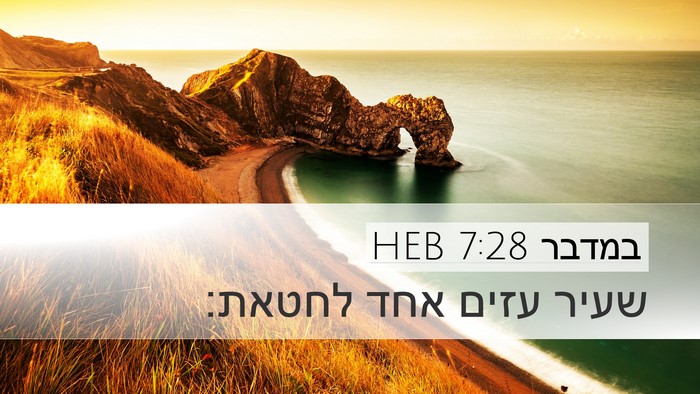 במדבר 7:28 HEB Desktop Wallpaper - שעיר עזים אחד - Desktop Bible Verse Wallpaper