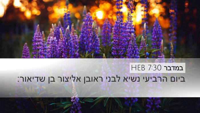 במדבר 7:30 HEB Desktop Wallpaper - ביום הרביעי נשיא לבני - Desktop Bible Verse Wallpaper