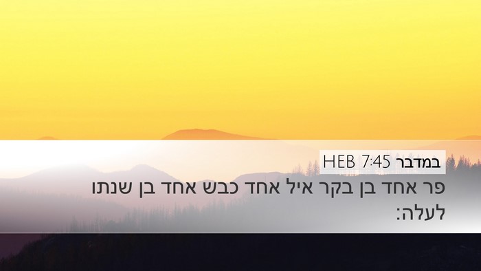 במדבר 7:45 HEB Desktop Wallpaper - פר אחד בן בקר איל אחד כבש - Desktop Bible Verse Wallpaper