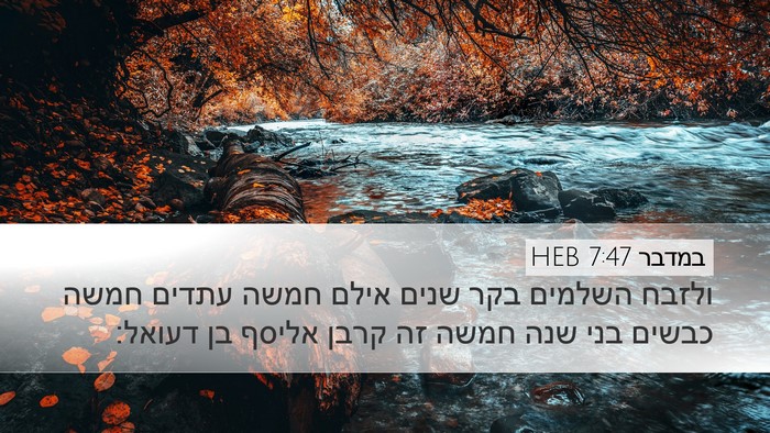 במדבר 7:47 HEB Bible Verse Image