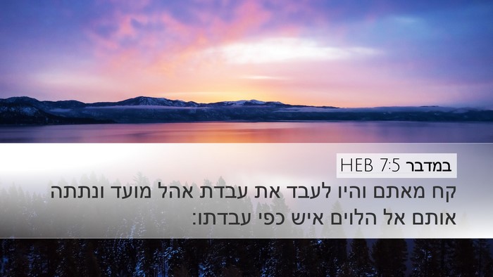 במדבר 7:5 HEB Bible Verse Image