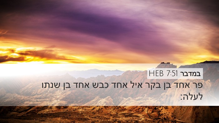 במדבר 7:51 HEB Desktop Wallpaper - פר אחד בן בקר איל אחד כבש - Desktop Bible Verse Wallpaper