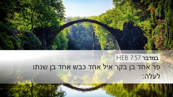 במדבר 7:57 HEB Desktop Wallpaper - פר אחד בן בקר איל אחד כבש - Desktop Bible Verse Wallpaper