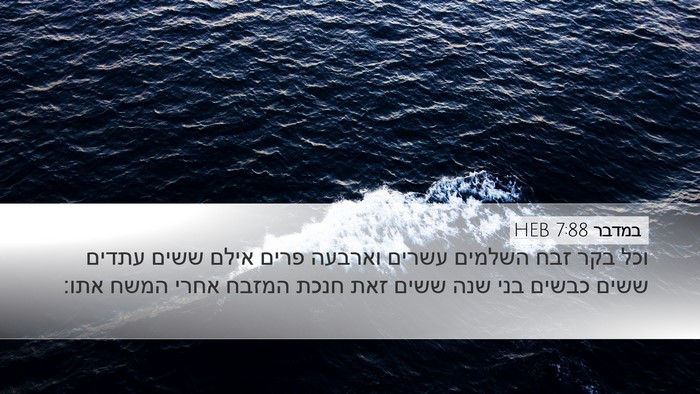 במדבר 7:88 HEB Bible Verse Image