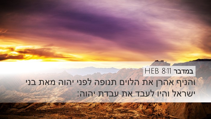 במדבר 8:11 HEB Bible Verse Image
