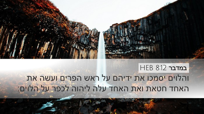 במדבר 8:12 HEB Desktop Wallpaper - והלוים יסמכו את ידיהם על - Desktop Bible Verse Wallpaper