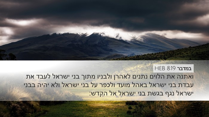 במדבר 8:19 HEB Bible Verse Image