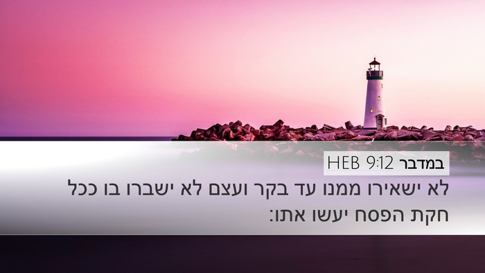 במדבר 9:12 HEB Desktop Wallpaper - לא ישאירו ממנו עד בקר ועצם - Desktop Bible Verse Wallpaper