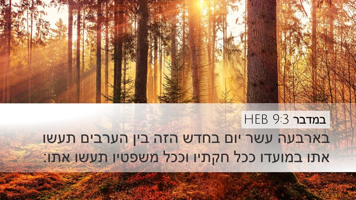 במדבר 9:3 HEB Bible Verse Image