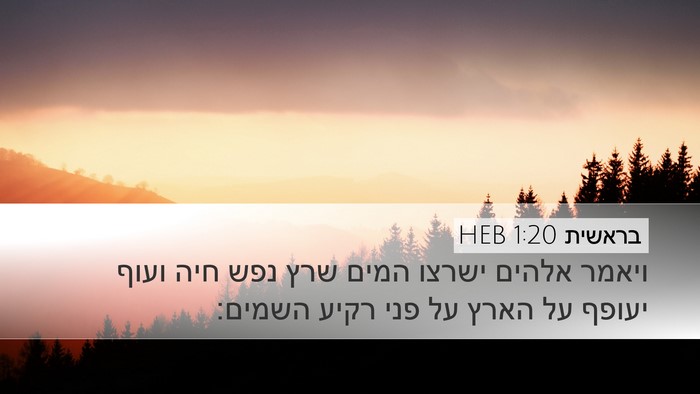 בראשית 1:20 HEB Bible Verse Image
