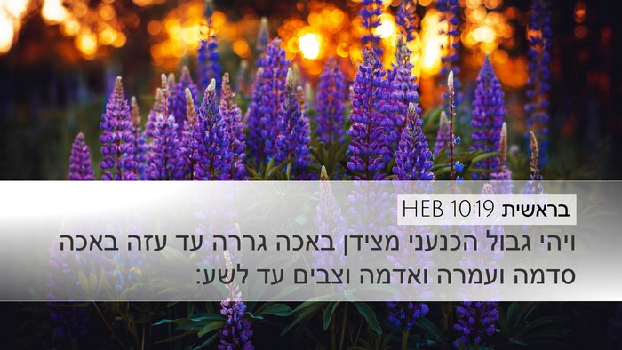 בראשית 10:19 HEB Bible Verse Image