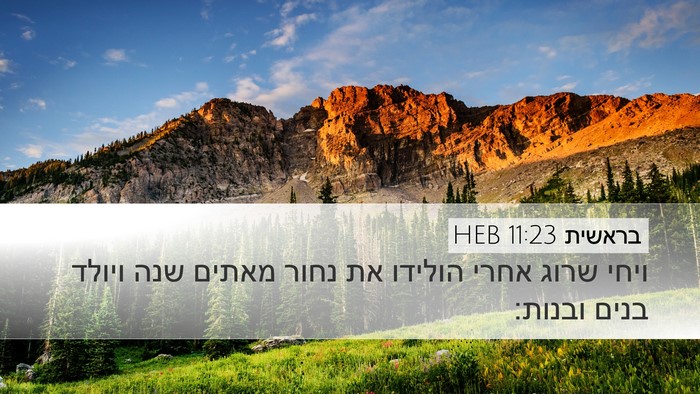 בראשית 11:23 HEB Desktop Wallpaper - ויחי שרוג אחרי הולידו את - Desktop Bible Verse Wallpaper