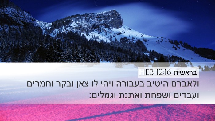 בראשית 12:16 HEB Bible Verse Image
