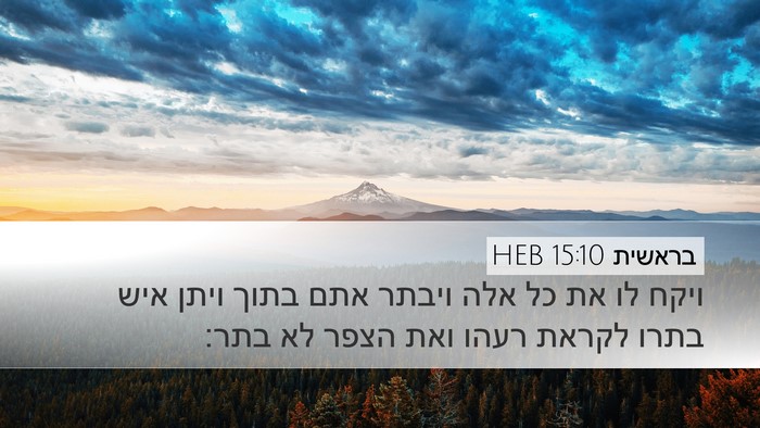בראשית 15:10 HEB Bible Verse Image