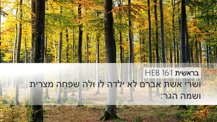 בראשית 16:1 HEB Desktop Wallpaper - ושרי אשת אברם לא ילדה לו - Desktop Bible Verse Wallpaper