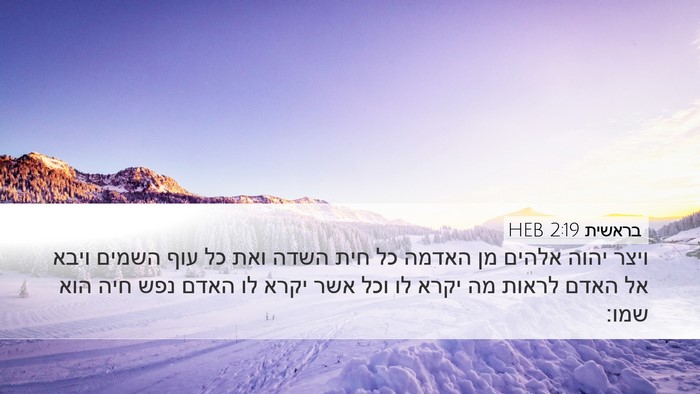 בראשית 2:19 HEB Bible Verse Image