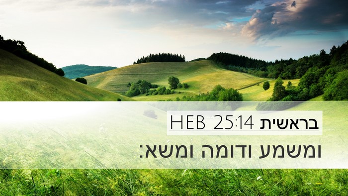 בראשית 25:14 HEB Bible Verse Image