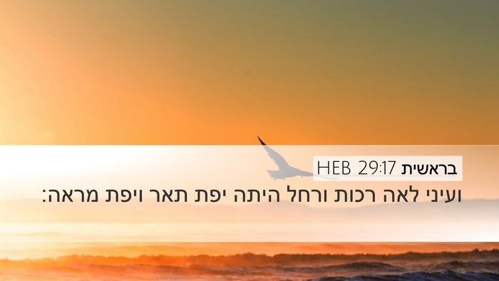 בראשית 29:17 HEB Bible Verse Image