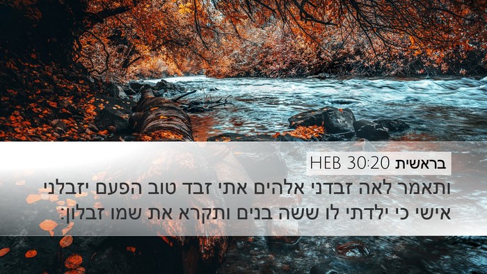 בראשית 30:20 HEB Bible Verse Image