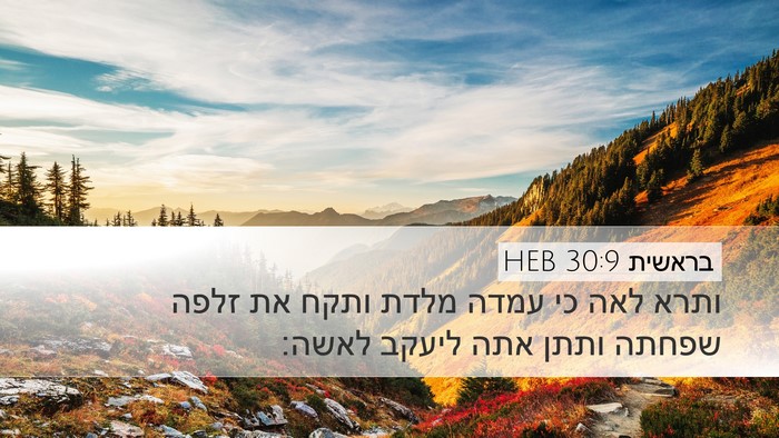 בראשית 30:9 HEB Bible Verse Image