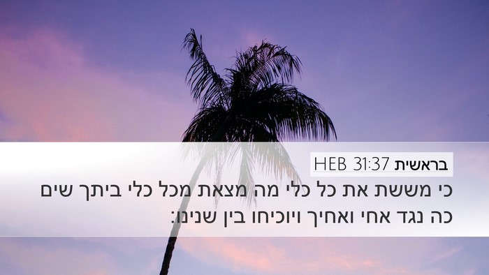 בראשית 31:37 HEB Bible Verse Image