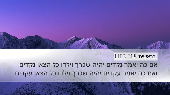 בראשית 31:8 HEB Bible Verse Image