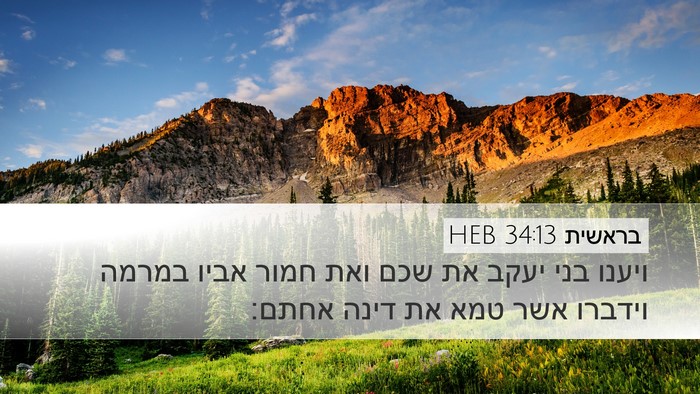 בראשית 34:13 HEB Bible Verse Image