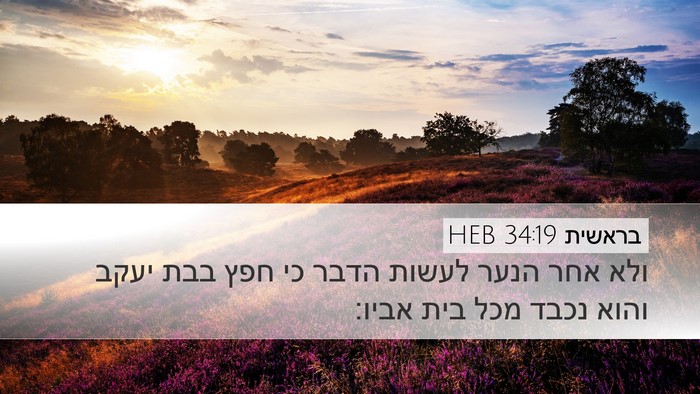 בראשית 34:19 HEB Bible Verse Image