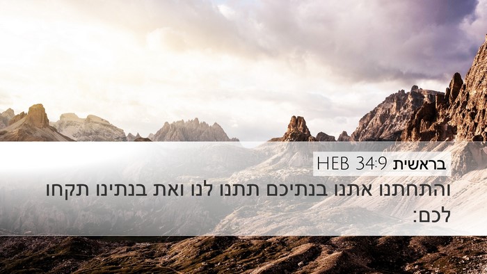 בראשית 34:9 HEB Bible Verse Image