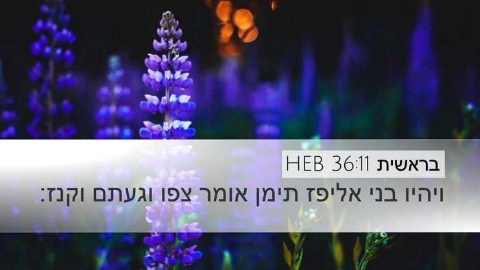 בראשית 36:11 HEB Bible Verse Image