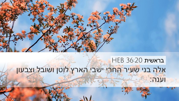 בראשית 36:20 HEB Bible Verse Image