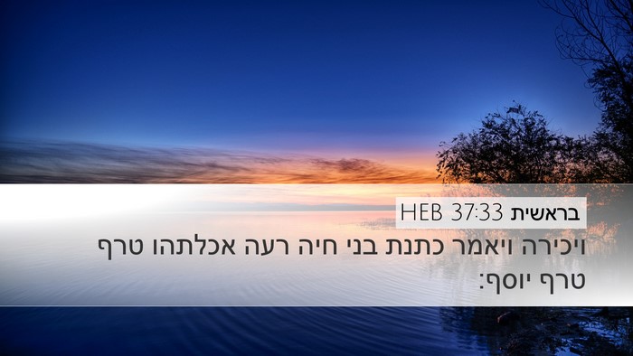 בראשית 37:33 HEB Bible Verse Image