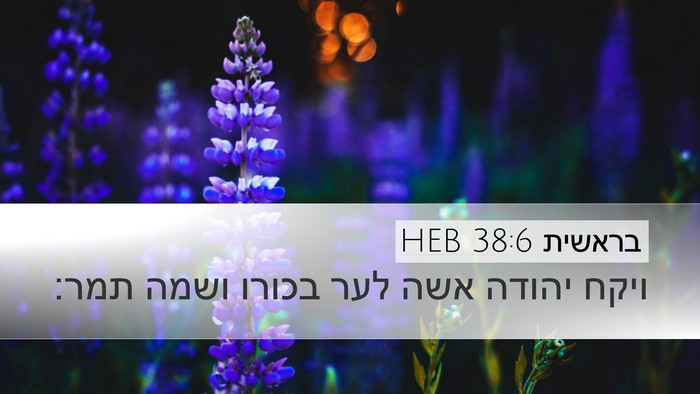 בראשית 38:6 HEB Bible Verse Image