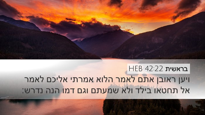 בראשית 42:22 HEB Bible Verse Image