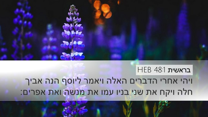 בראשית 48:1 HEB Desktop Wallpaper - ויהי אחרי הדברים האלה - Desktop Bible Verse Wallpaper