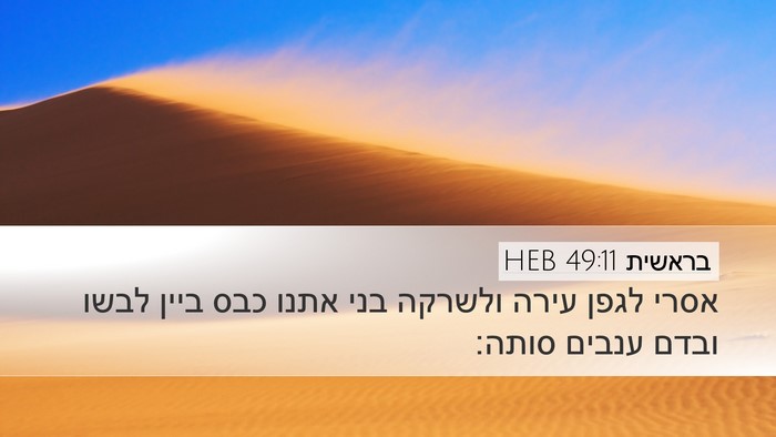 בראשית 49:11 HEB Bible Verse Image