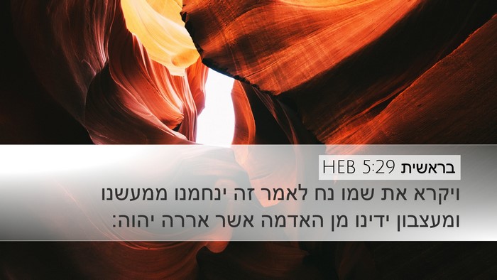 בראשית 5:29 HEB Bible Verse Image