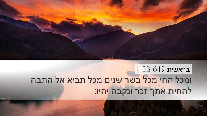 בראשית 6:19 HEB Bible Verse Image