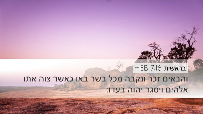 בראשית 7:16 HEB Desktop Wallpaper - והבאים זכר ונקבה מכל בשר - Desktop Bible Verse Wallpaper