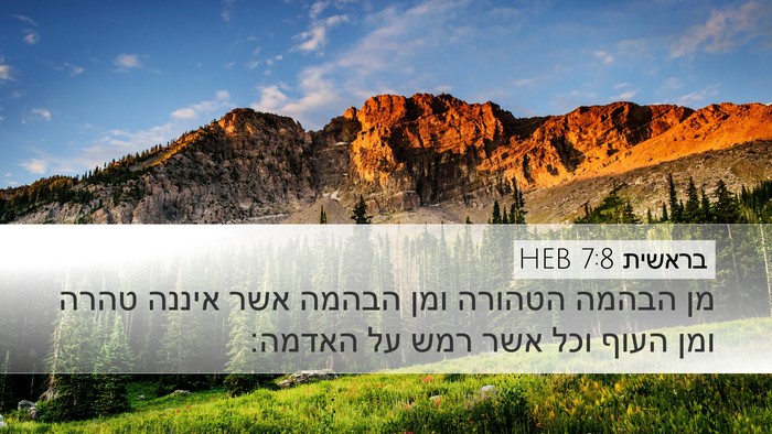 בראשית 7:8 HEB Desktop Wallpaper - מן הבהמה הטהורה ומן הבהמה - Desktop Bible Verse Wallpaper