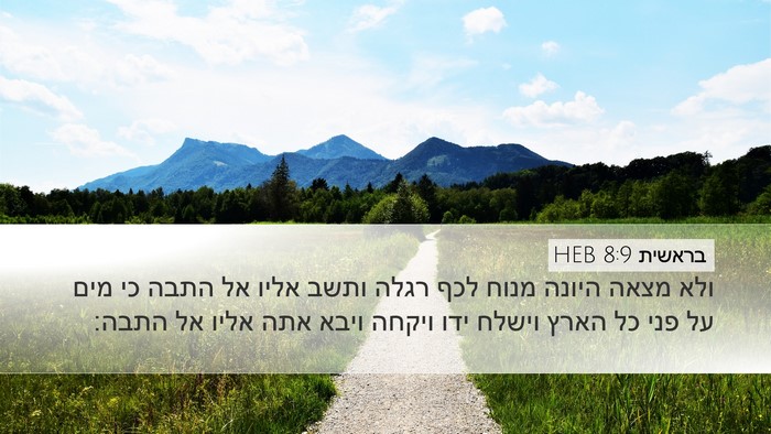 בראשית 8:9 HEB Bible Verse Image