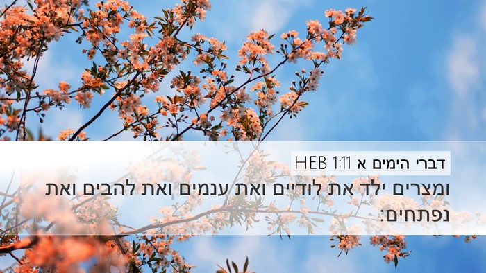 דברי הימים א 1:11 HEB Desktop Wallpaper - ומצרים ילד את לודיים ואת - Desktop Bible Verse Wallpaper