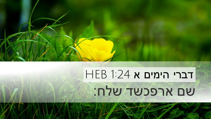 דברי הימים א 1:24 HEB Bible Verse Image