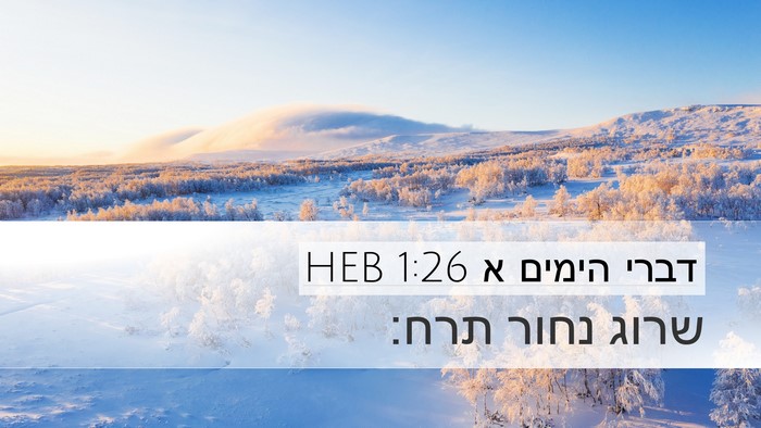 דברי הימים א 1:26 HEB Bible Verse Image