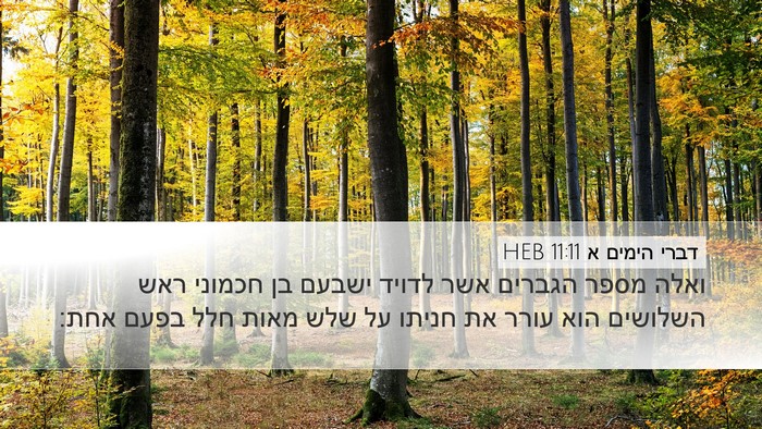 דברי הימים א 11:11 HEB Bible Verse Image