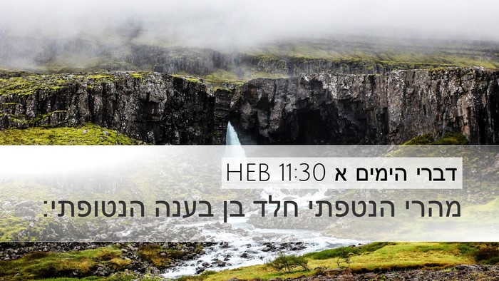דברי הימים א 11:30 HEB Bible Verse Image
